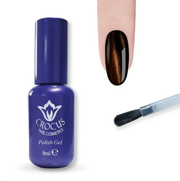 Cat Eye Nail Polish Gel 01