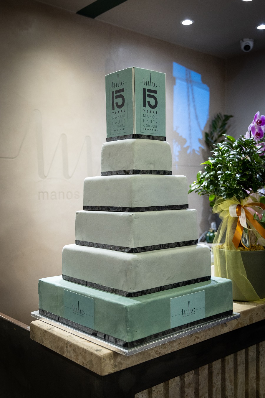 cake15