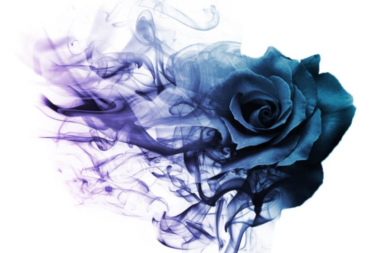 cremation ink nz
