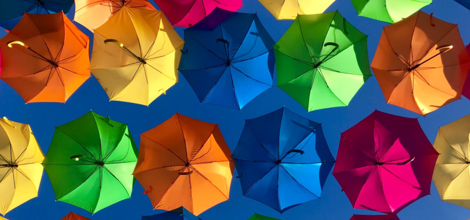 xiaoxiao sun e8e4YY65sOk unsplash