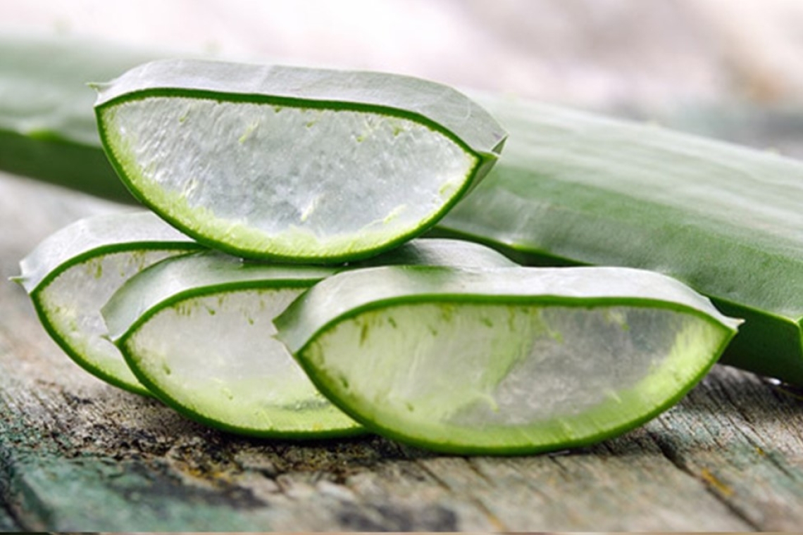 Laboratoire Haut-Ségala: Η απόλυτη εξειδίκευση σε προϊόντα με Aloe Vera