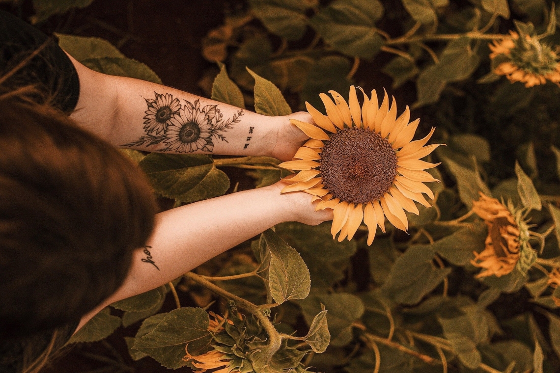 Φροντίδα του tattoo με CBDERMA CEL