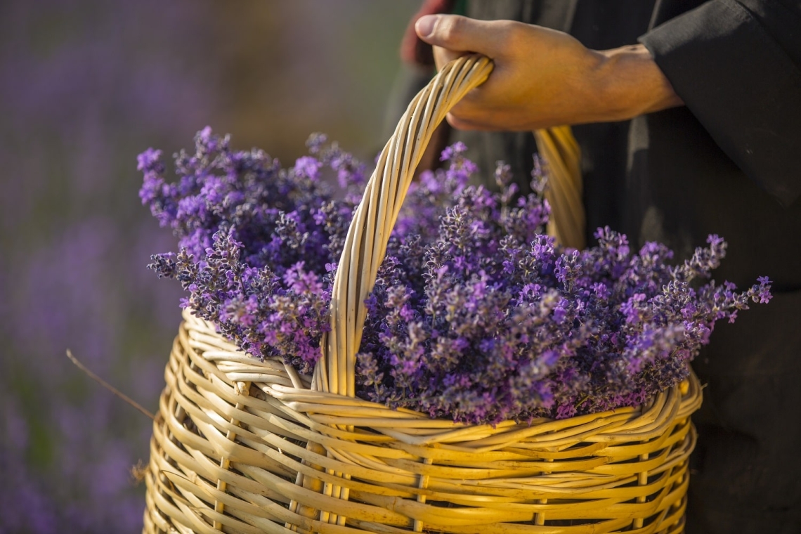 Η συνολική βιώσιμη προσέγγιση της ελληνικής μάρκας Athonites